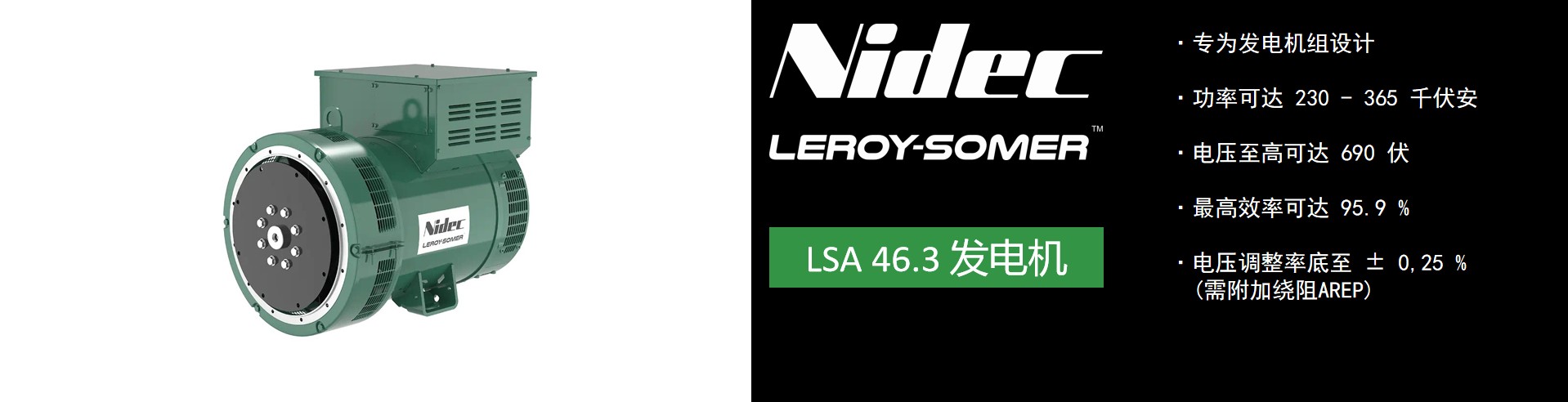 利莱森玛 LSA 46.3.jpg