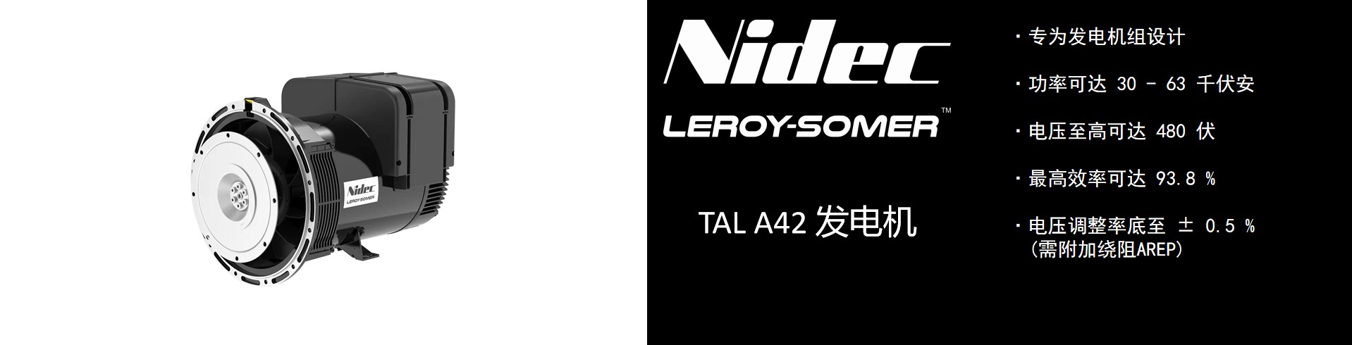 利莱森玛 TAL A42.jpg