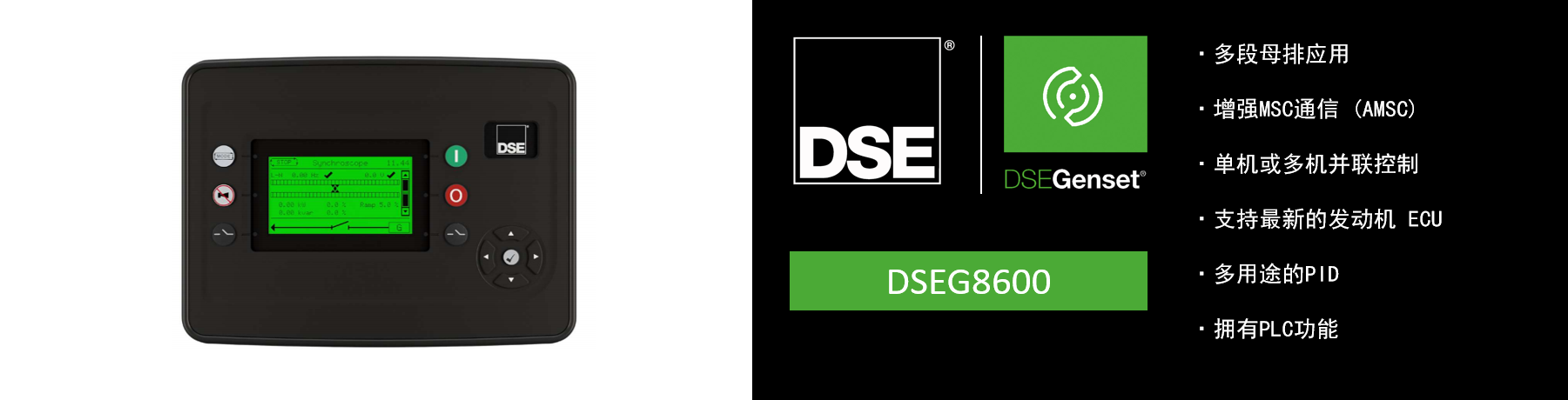 DSEG8600.png