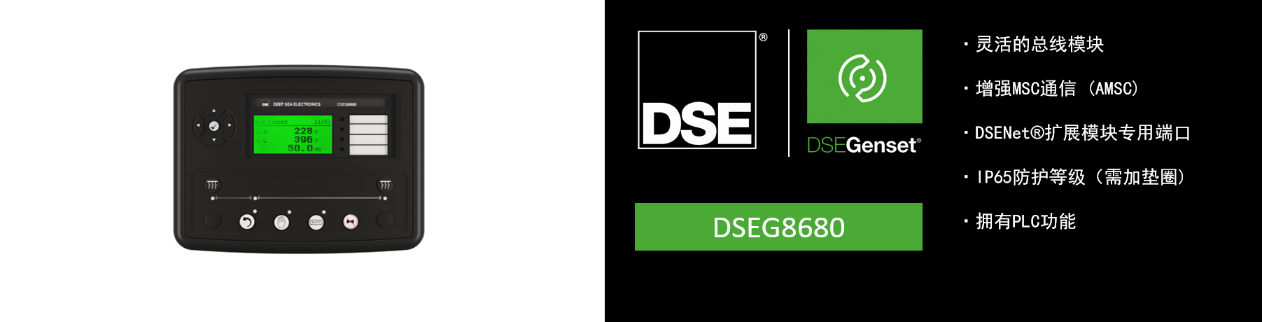 DSEG8680.png