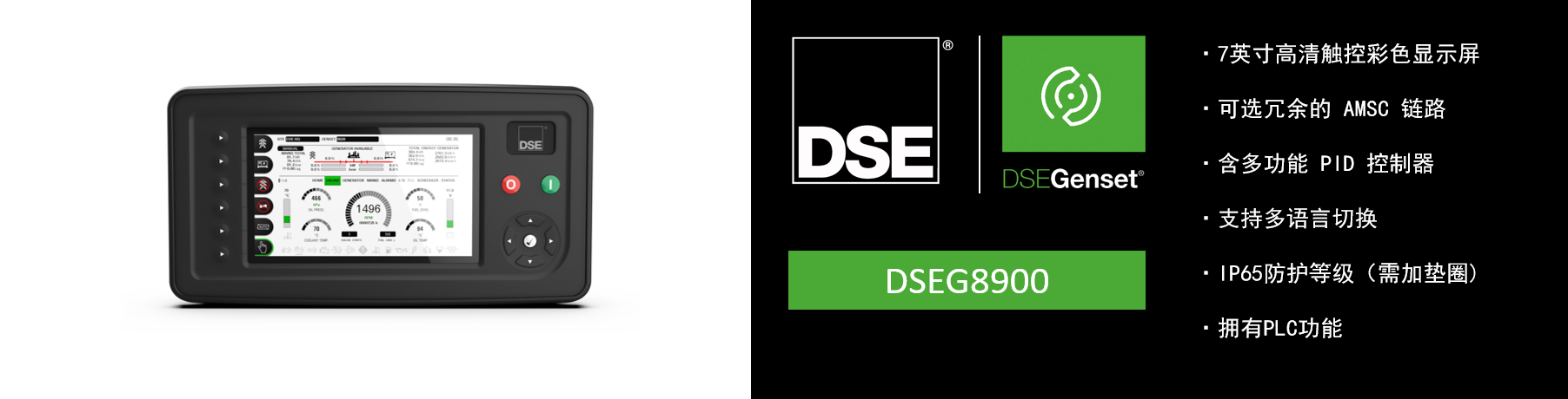 DSEG8900.png