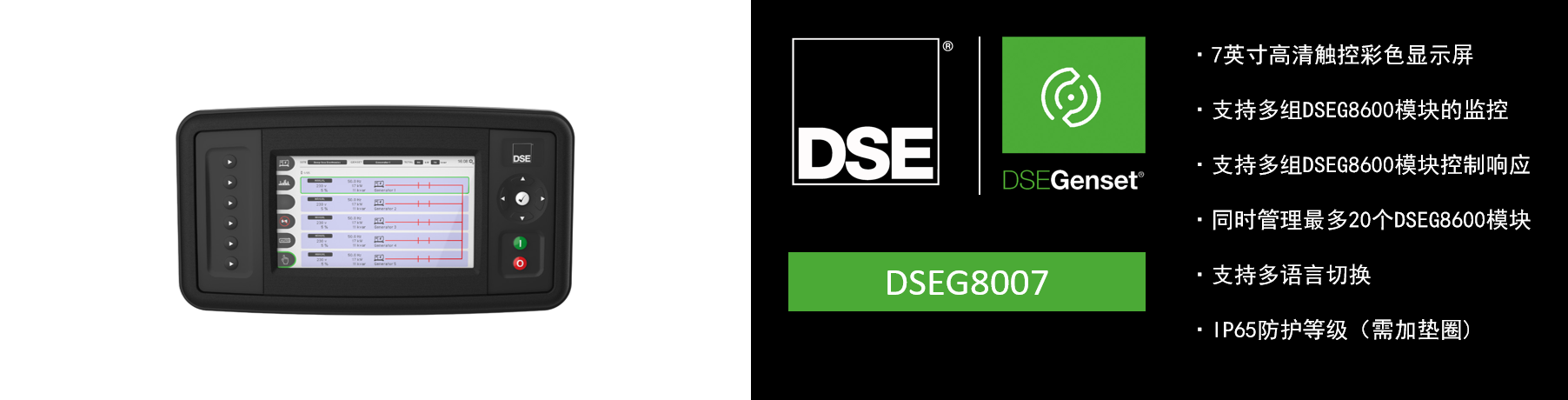 DSEG8007.png
