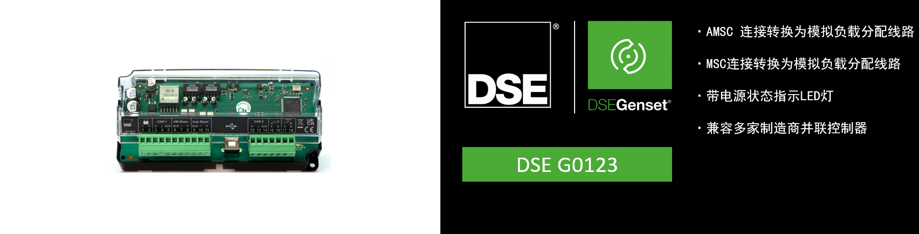 DSE G0123.png