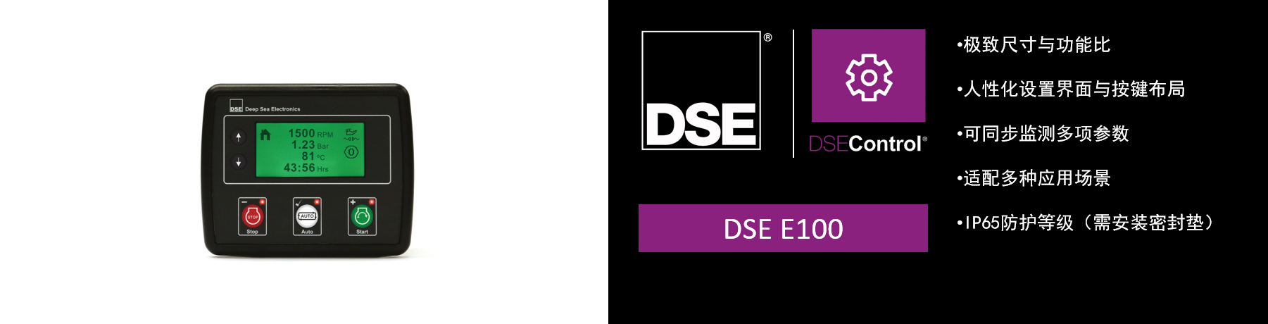 DSE E100.png