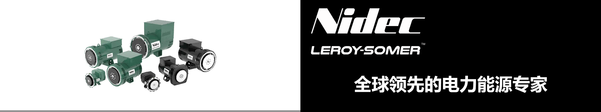 利莱森玛发电机