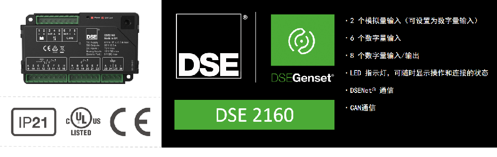 DSE 2160