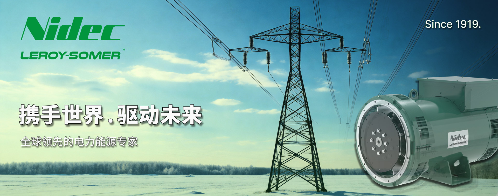 业青机电 - 利莱森玛发电机